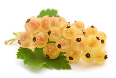 Beyaz arka planda yeşil yapraklı üzümler.