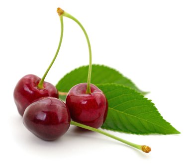 Saplı üç kiraz ve beyaz arka planda yapraklar.