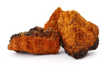 Beyaz arkaplanda huş ağacı parçaları izole edilmiş..