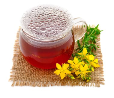 St. John otları ve bitki özleri beyaz arka planda izole edilmiş..