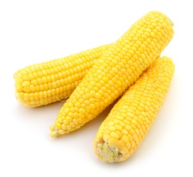 Çekirdekleri sağlam taze sarı mısır koçanları yakın plan, beyaz arka plan izole, sağlıklı organik sebze, tatlı mısır hasat konsepti