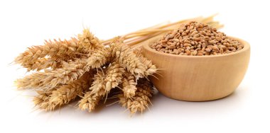 Tahta kase buğday taneleri ve olgun buğday kulaklarıyla dolu beyaz arka planda izole edilmiş doğal tarım ürünü ve organik gıda konsepti.