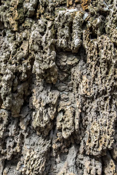 Limestone Erosion Background Texture Relief — Stock Photo, Image