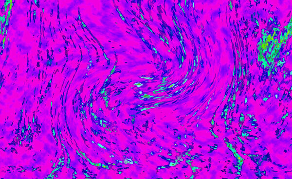 Natural abstract fluid art painting with alcohol ink technique. Soft dreamy colors create transparent wavy lines