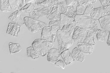 Yaratıcı desenli taş seramik duvar kağıdı tasarımı. Beyaz mermer