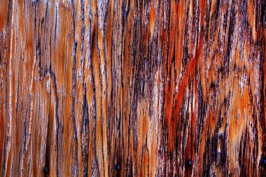     Güzel ahşap tahıl. Ahşap arka. Tahta desenli arka plan                           