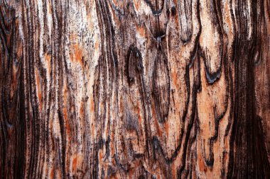     Güzel ahşap tahıl. Ahşap arka. Tahta desenli arka plan                           