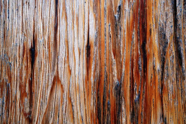 Beautiful Wood Grain Wood Background Wood Grain Pattern Texture Backgrounds — Stock Photo, Image