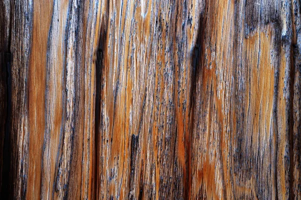 Schöne Holzmaserung Holz Hintergrund Holz Maserung Muster Textur Hintergründe — Stockfoto