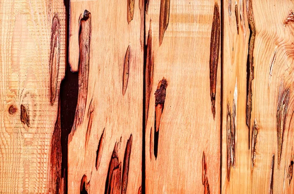 Vacker Träkorn Träbakgrund Trä Korn Mönster Struktur Bakgrund — Stockfoto