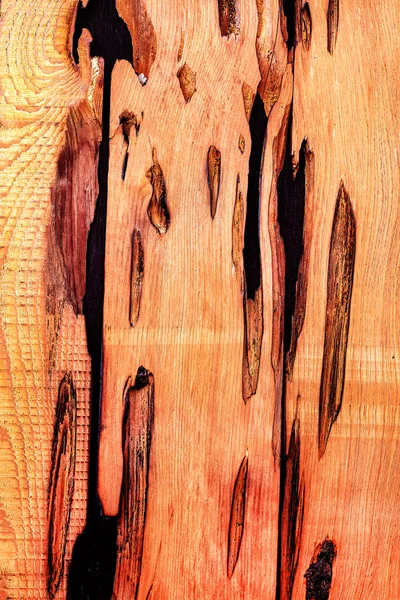 Piękne Drewniane Ziarno Tło Drewna Wzór Drewna Tekstury Tła Obrazek Stockowy