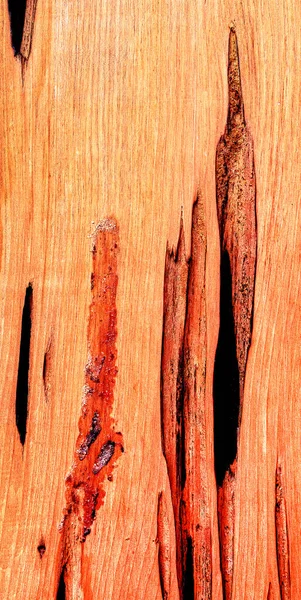 Piękne Drewniane Ziarno Tło Drewna Wzór Drewna Tekstury Tła Obrazek Stockowy