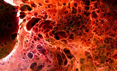 Hayattaki yaratıcı çizimler. Tasarımcılar için renkli ve güzel arkaplan modelleri.