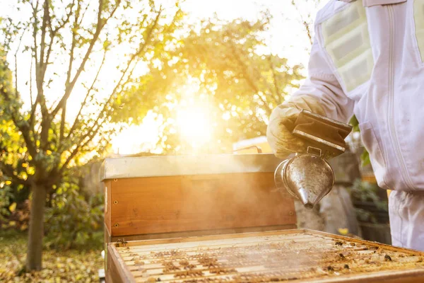 Bijenhouder Een Bijenstal Bijenhouder Werkt Met Bijen Bijenkorven Aan Een — Stockfoto