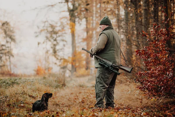 Temporada Caza Otoño Cazador Con Rifle Perro Buscando Algún Animal — Foto de Stock