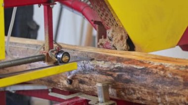 Woodworking production, worker using heavy saw to produce a lumber planks or firewood, woodworking equipment concept