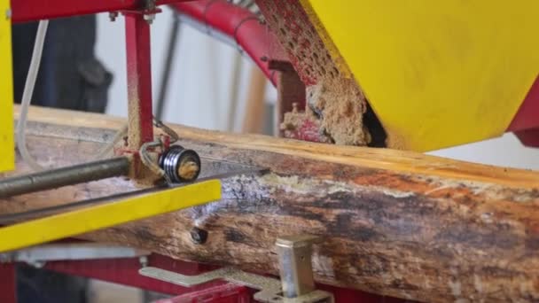 Woodworking Production Worker Using Heavy Saw Produce Lumber Planks Firewood — Video