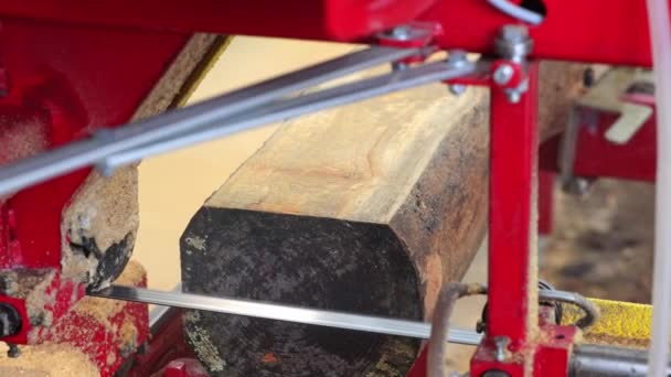 木工生産 重鋸を使用して木材板や薪を生産する労働者 木工機器の概念 — ストック動画