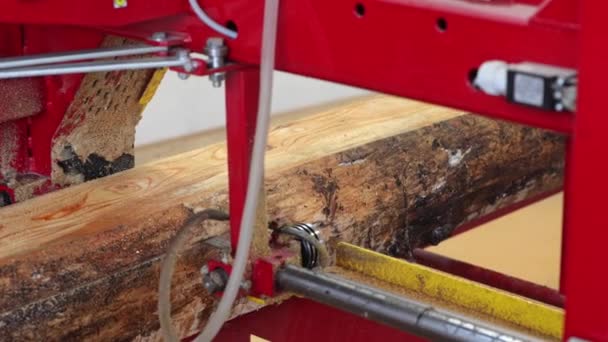 Woodworking Production Worker Using Heavy Saw Produce Lumber Planks Firewood — Video Stock