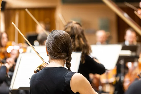 专业交响弦乐团在舞台上表演 演奏古典音乐会 小提琴手在前台 图库图片