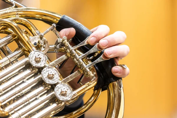 French horn instrument, hands playing horn player in the philharmonic orchestra