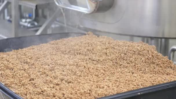 Dekat Dari Segar Panas Residu Malt Setelah Pembuatan Bir Dalam — Stok Video