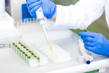 Bilim laboratuarında damlatan sıvıyı bir test tüpüne damlatan bilim adamı, ilaç çevresi kavramı