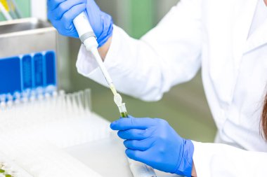 Bilim laboratuarında damlatan sıvıyı bir test tüpüne damlatan bilim adamı, ilaç çevresi kavramı