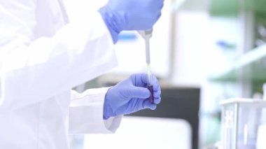 Laboratuvar vitrinli test tüpü tutan genç bilim kadını bilim laboratuarı araştırma ve geliştirme konsepti, laboratuvar araştırmaları.