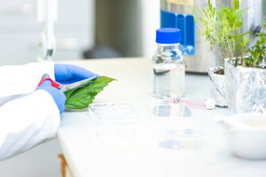Doğal maddelerden yeni bir biyokozmetik ürünü geliştiren ya da araştıran kadın laboratuvar araştırmacısı, kimya konsepti