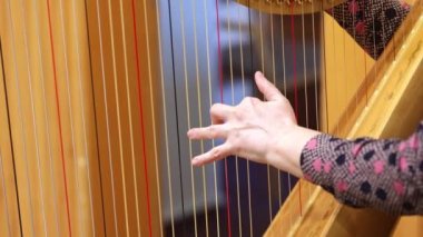 Profesyonel senfoni orkestrası sahnede performans sergiliyor ve klasik müzik konseri çalıyor.