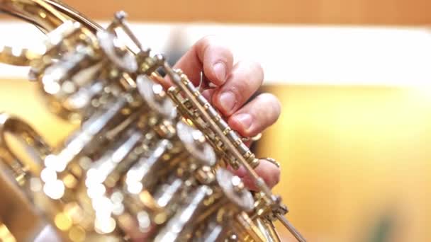 フランスのホルン楽器 フィルハーモニー管弦楽団でホルン奏者を演奏する手 — ストック動画