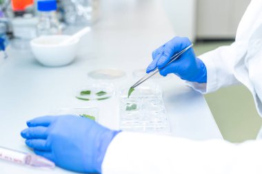 Yeni bir biyolojik eczane ilacı geliştiren kadın araştırmacı. İlaç geliştirme kavramı.