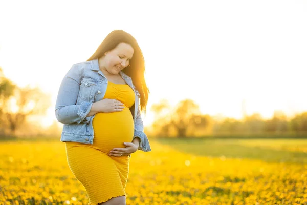 年轻的孕妇在夏日美丽的落日下 在草地上 在阳光的照耀下 在怀孕的时候 对着巨大的腹部微笑 图库图片