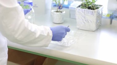 Genç bilim adamı ya da araştırmacı kadın modern laboratuarda, endüstriyel konseptte yeni bir biyolojik, ekolojik kozmetik ürünü geliştiriyor.