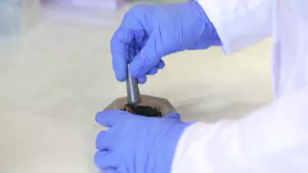Concept Laboratory Research Young Lab Technician Doing Mortar Pulverization Chemical — Stock Video