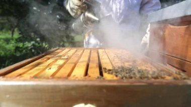 Arı yetiştiricisi arıları kovandan dumanla temizliyor, arı kostümü giyen çiftçi arı kovanında bal peteği kullanıyor, arıcılık konseptinde çalışıyor.
