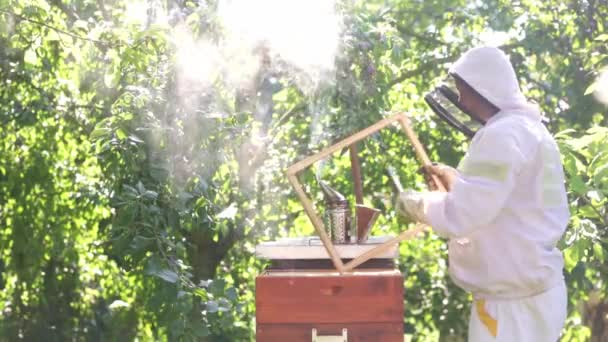 Včelař Odstraňuje Včelí Plástve Úlu Kuřákem Farmář Včelím Obleku Pracuje — Stock video