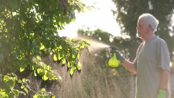 Bărbat Senior Fertilizând Pomi Fructiferi Prin Îngrășământ Lichid Bio Pentru — Videoclip de stoc