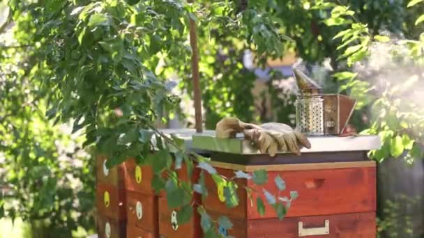 Nástroje Pro Včelaře Všechno Pro Včelaře Aby Pracoval Včelami Kuřák — Stock video