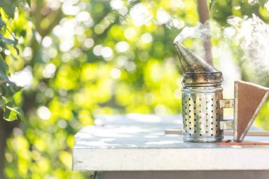 Arıcı aletleri, arılar için sigara içen, arıcılık konsepti.