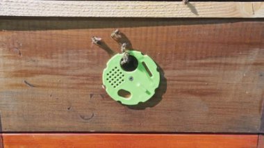 Arı kovanının ayrıntıları, arıların tutulduğu kubbe şekilli ya da kutu gibi yapılar, arıcılık konsepti.