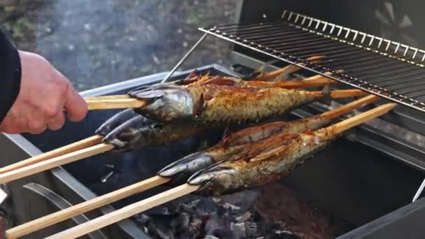 Człowiek Grillowanie Świeże Makreli Ryby Grillu Węgla Makreli Grilla Żywności — Wideo stockowe