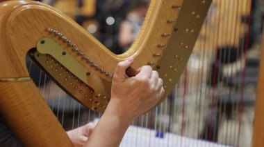 Bir kadın müzisyenin elleri arp enstrümanını filarmoni orkestrasından önce çalar.