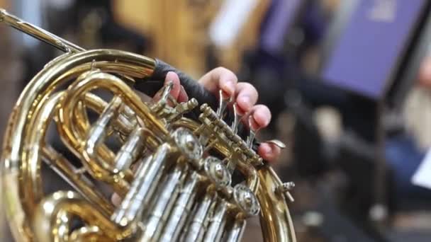 Francuski Instrument Rogu Ręce Grające Rogu Orkiestrze Filharmonicznej — Wideo stockowe