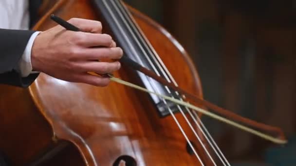 Hände Eines Musikers Mit Bogen Der Kontrabass Einem Philharmonischen Orchester — Stockvideo