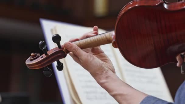 Profesyonel Senfoni Orkestrası Sahnede Konser Veriyor Klasik Müzik Konseri Çalıyor — Stok video