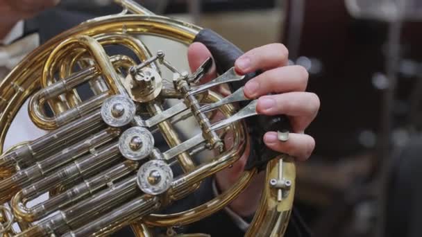 Francuski Instrument Rogu Ręce Grające Rogu Orkiestrze Filharmonicznej — Wideo stockowe