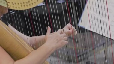Filarmoni konseri sırasında arp enstrümanında çalan kadın eli