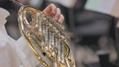 Filarmoni orkestrası sırasında Fransız kornosu çalan filarmoni sanatçısı.